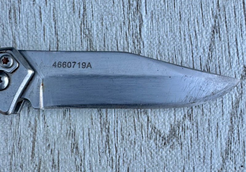 画像2: 米軍放出品 GERBER パラフレーム  ミニ ナイフ  (2)