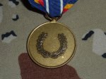 画像3: 米軍放出品.テロ戦争従軍記章 Global War on Terrorism Service Medal (3)