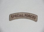 画像1: US ARMY　SPECIAL FORCESワッペン　TAN(ベルクロ付き) (1)