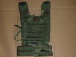 画像2: 米軍放出品.SPEAR,EQUIPMENT LOAD CARRYING SUBSYSTEM (2)