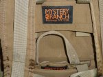 画像3: 【米軍放出品】Mystery Ranch ミステリーランチ 　アサルトパック コヨーテ (3)