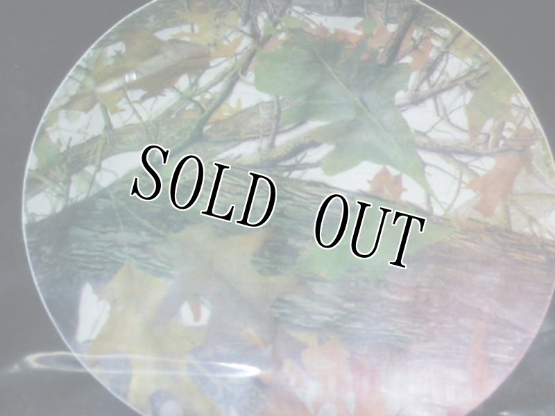 画像3: 米軍放出品.タープ (3)