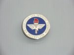 画像1: 米軍放出品.Air Education and Training Command Instructor Badge (1)