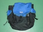 画像2: 米軍放出品　Podia Adventure  back pack (2)