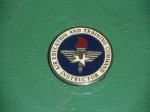 画像1: 米軍放出品 USAF Air Education & Training Command Instructor Badge (1)