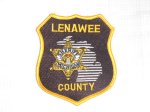画像1: 米軍放出品　Lenawee郡　保安官　ワッペン (1)