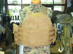 画像1: 米軍実物, EAGLE SCALABLE PLATE CARRIER　S (1)