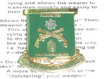 画像1: 米軍放出品　720th Military Police Battalion (1)