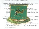 画像2: 米軍放出品　720th Military Police Battalion (2)