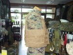 画像4: 米軍実物, EAGLE SCALABLE PLATE CARRIER　S (4)