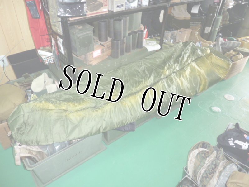 画像2: 米軍放出品 Snugpak Antarctica RE  (スナグパック) (2)