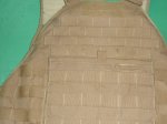 画像6: 米軍実物, EAGLE SCALABLE PLATE CARRIER　S (6)