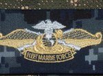 画像2: 米軍実物　US NAVY Fleet Marine Force Warfare Specialist - Officer (2)