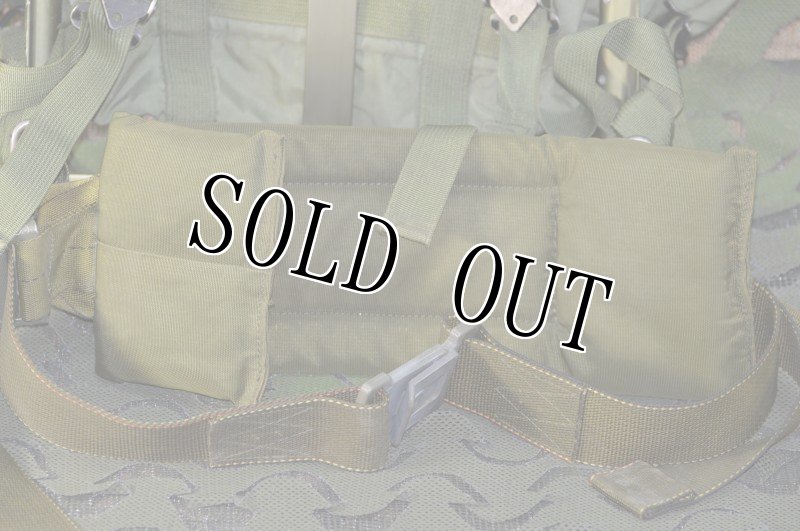 画像4: 米軍実物　LC-2　M　アリスバッグ　フレームセット (4)