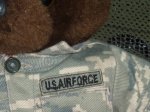 画像2: 米軍放出品　USAF　ベアー (2)