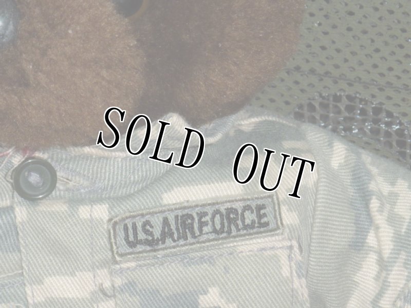 画像2: 米軍放出品　USAF　ベアー (2)