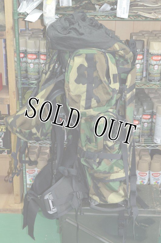 画像6: 米軍実物 特殊部隊 GREGORY グレゴリーバックパック UM21 SPEAR (6)