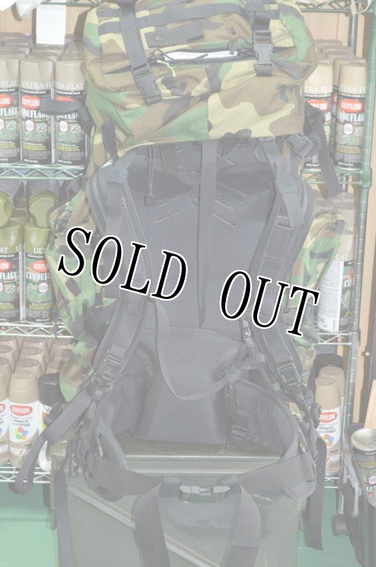 画像2: 米軍実物 特殊部隊 GREGORY グレゴリーバックパック UM21 SPEAR (2)