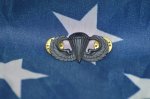 画像1: 米軍放出品.US Army Airborne Jump Wings (1)