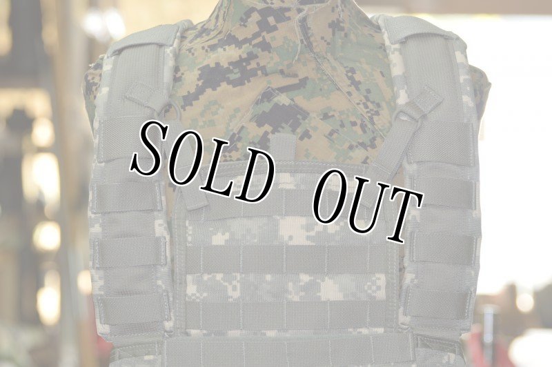 画像2: 米軍実物　イーグル　ACU ローデシアン　リーコンベスト (2)