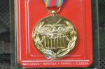 画像2: 米軍放出品 Global War on Terrorism Expeditionary Anodized Medal (2)