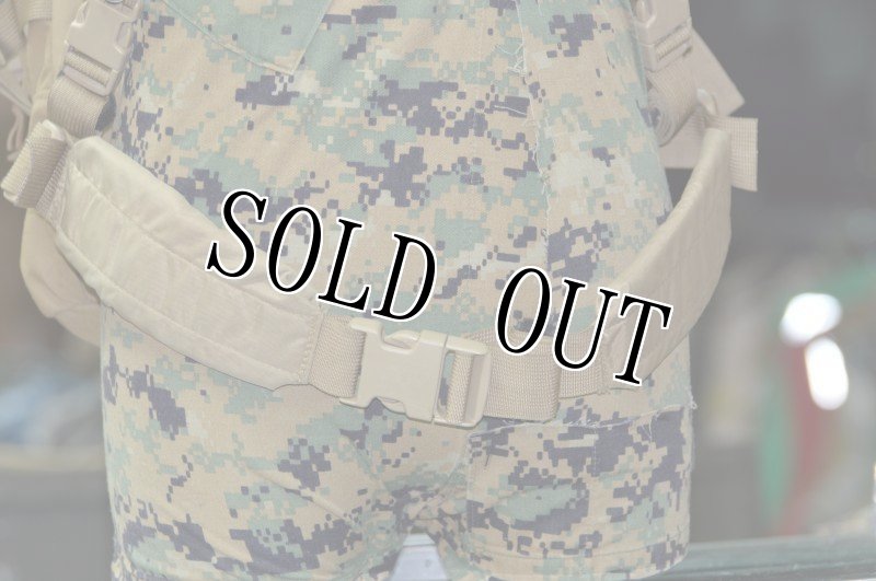 画像5: 米軍実物 LBT1476A ロンドンブリッジ コヨーテ アサルトパック (5)