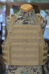 画像1: 米軍放出品  PLATE CARRIER W/ADJ. CUMMERBUND (1)