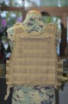 画像3: 米軍放出品  PLATE CARRIER W/ADJ. CUMMERBUND (3)