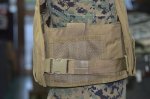 画像9: 米軍放出品  PLATE CARRIER W/ADJ. CUMMERBUND (9)