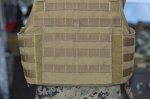 画像6: 米軍放出品  PLATE CARRIER W/ADJ. CUMMERBUND (6)