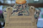 画像5: 米軍放出品  PLATE CARRIER W/ADJ. CUMMERBUND (5)