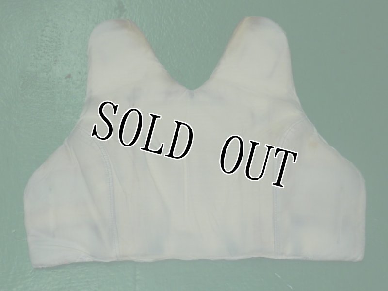 画像10: 米軍放出品　Point Blank　ボディーアーマー (10)