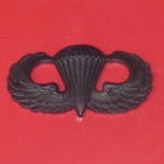 画像2: 米軍陸軍 技能章 - パラシュート戦闘降下章 戦闘服用胸章  (2)
