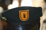 画像1: 米軍実物,US ARMY　1stSFG ベレー帽 (1)