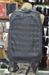 画像2: 米軍放出品　ROTHCO M.O.L.L.E. II 3 DAY ASSAULT PACK (2)