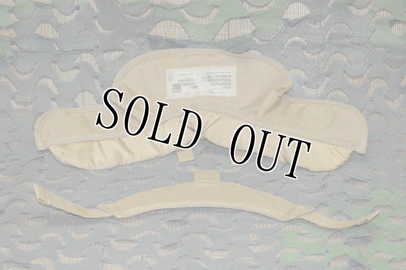 画像13: 海兵隊実物 USMC IMTV ボディアーマー プレートキャリア　L (13)