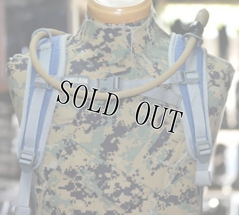 画像4: 米軍放出品 Camelbak Cloud Walker  (2 Litre) (4)