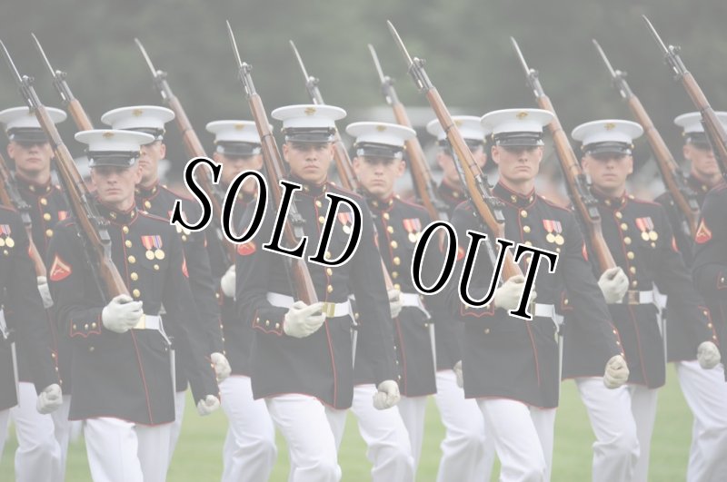 画像7: 米軍実物 USMC　ブルードレス　38L (7)