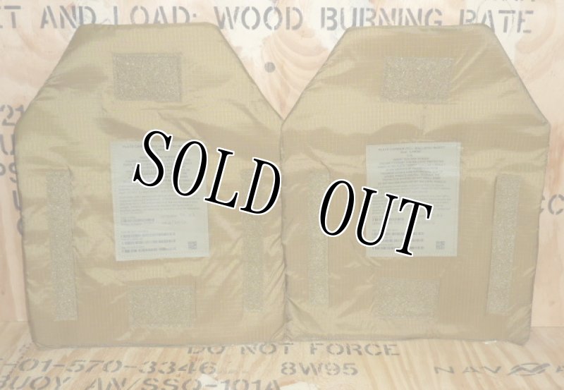 画像6: 海兵隊実物 USMC MCPC プレートキャリア PC L (6)