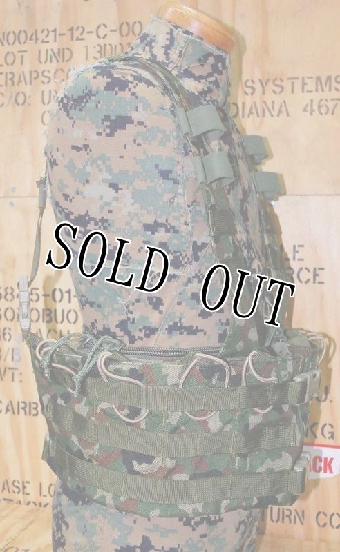 画像2: 自衛隊 リーコン チェストリグ  (2)