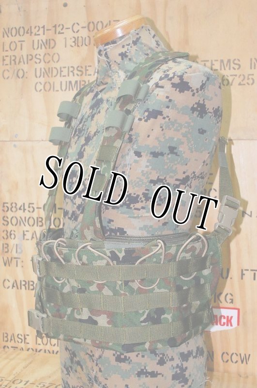 画像4: 自衛隊 リーコン チェストリグ  (4)