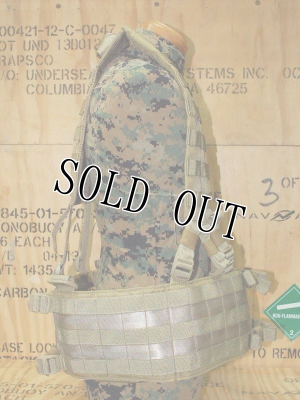 画像4: 米軍実物 EAGLE  HG-VS-MS　H-HARNESS　カーキ (4)