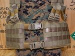 画像6: 米軍実物 EAGLE  HG-VS-MS　H-HARNESS　カーキ (6)