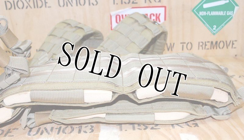 画像10: 米軍実物 EAGLE  HG-VS-MS　H-HARNESS　カーキ (10)