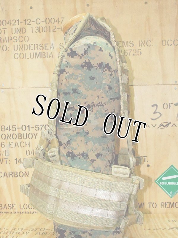 画像2: 米軍実物 EAGLE  HG-VS-MS　H-HARNESS　カーキ (2)