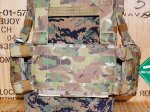 画像8: 激レア 米軍実物 EAGLE  HG-VS-MS-5CCA H-HARNESS　マルチ (8)