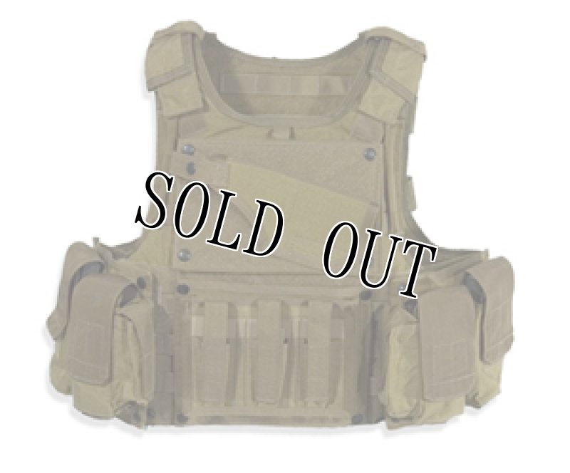 画像18: 米陸軍特殊部隊実物 AWS/PLATE CARRIERS 50990 CQB Vest System SPEARS (18)