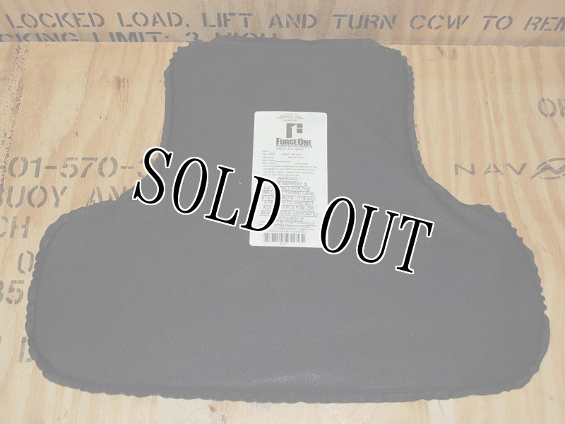 画像12: 米軍実物　Body Guard INC　ボディーアーマー　L (12)