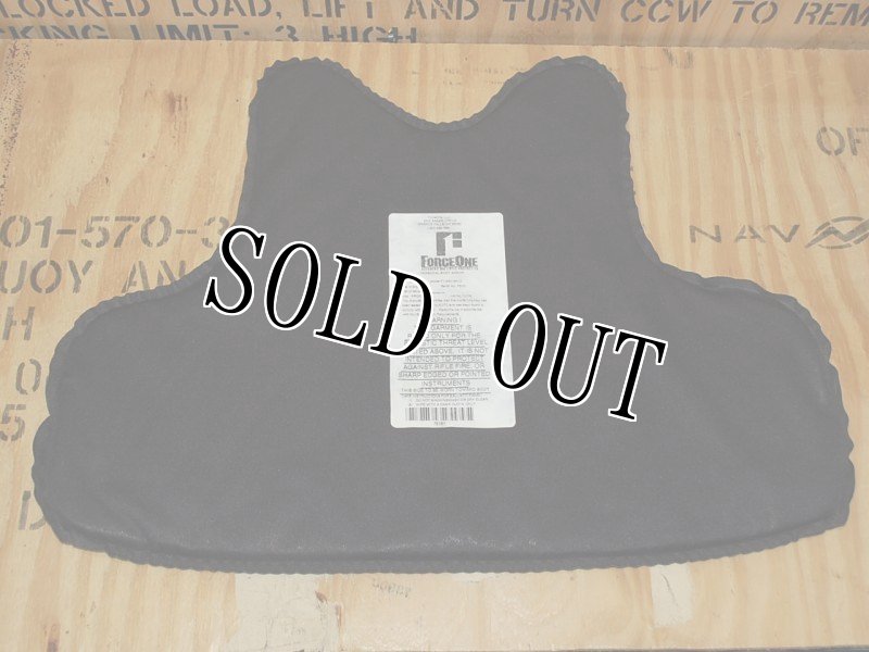 画像11: 米軍実物　Body Guard INC　ボディーアーマー　L (11)