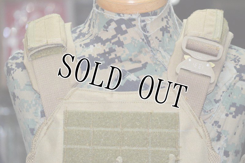 画像5: 海兵隊実物　オードナンス  プレートキャリア M (5)